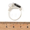Eco-Friendly Copper Wire with Natural Abalone Shell/Paua Shell Finger Rings RJEW-JR01086-02-5