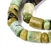 Natural Serpentine Beads Strands G-Q616-09H-4