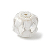 Transparent Acrylic Beads CLAY-NH0003-04S-01-1