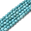 Dyed Natural Howlite Beads Strands G-K376-F06-01-2