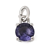 Birthdaystone Theme February 304 Stainless Steel Charms STAS-B128-60P-02-1