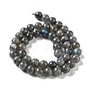 Natural Labradorite Beads Strands G-S333-8mm-035-5