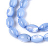 Natural Trochus Shell Beads Strands X-SHEL-K006-19-01A-3