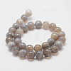 Natural Striped Agate/Banded Agate Bead Strands G-K155-D-10mm-02-2