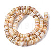 Natural Freshwater Shell Beads Strands SHEL-Q025-001-2