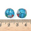 Ocean Theme Handmade Glass Enamel Beads LAMP-D304-02F-4