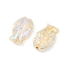 Electroplate and Golden Metal Enlaced Glass Beads EGLA-T029-01A-2