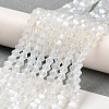 Imitation Jade Electroplate Glass Beads Strands LS-GLAA-F029-J4mm-C05-4