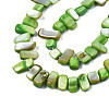 Natural Trochid Shell/Trochus Shell Beads Strands SHEL-S258-082-B05-3