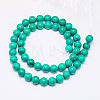 Natural Magnesite Beads Strand TURQ-G096-8mm-2