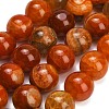 Natural Dragon Veins Agate Beads Strands GG-L001-L01-02B-2