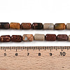 Natural Picasso Jasper/Polychrome Jasper Beads Strands G-N346-01B-05-5