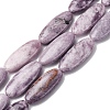 Natural Lepidolite/Purple Mica Stone Beads Strands G-F808-A01-01-2