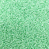 Frosted Silver Lined Glass Seed Beads GLAA-Q096-02G-1-1
