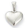 304 Stainless Steel Pendants LS-STAS-P278-01C-P-2