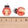Transparent & Opaque Resin Pendants RESI-P048-02C-P-3