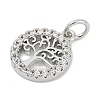 Brass Micro Pave Clear Cubic Zirconia Charms KK-G522-46P-3