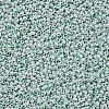 11/0 FGB Grade A Ceylon Glass Seed Beads X-SEED-N001-B-0487-2