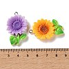 Opaque Resin Pendants RESI-K050-01-3