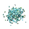 Dyed & Heated Natural Magnesite Chip Beads G-L453-01-3