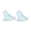 Flocking Opaque Resin Pendants RESI-P053-03B-P-1