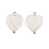 Natural Shell Heart Pendants STAS-D378-34G-1