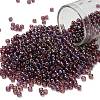 TOHO 8/0 Round Beads SEED-TR08-0166B-1