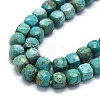 Natural HuBei Turquoise Beads Strands G-G106-G01-02-3