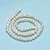 Natural Cultured Freshwater Pearl Beads Strands PEAR-A005-07A-01-3
