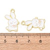 Alloy Enamel Pendants AL-CBA2679-03G-3