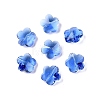 Transparent Glass Beads GLAA-Q066-14mm-C08-1