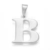 Tarnish Resistant 304 Stainless Steel Pendants STAS-F106-95P-B-1
