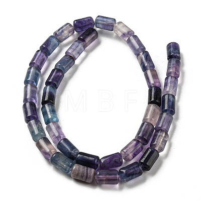 Natural Fluorite Beads Strands G-M420-E08-03-1