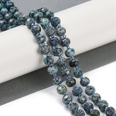 Natural Sesame Jasper Dyed Beads Strands G-H057-A21-01-1