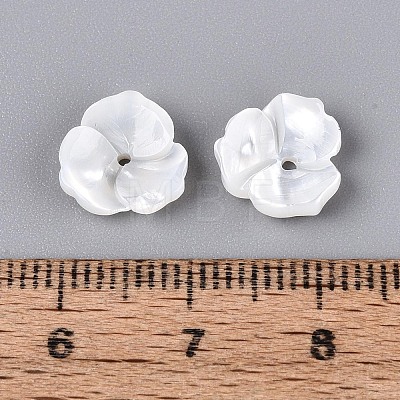 Natural White Shell Beads BSHE-T014-50-1
