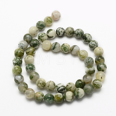 Natural Tree Agate Beads Strands G-K194-8mm-02-1