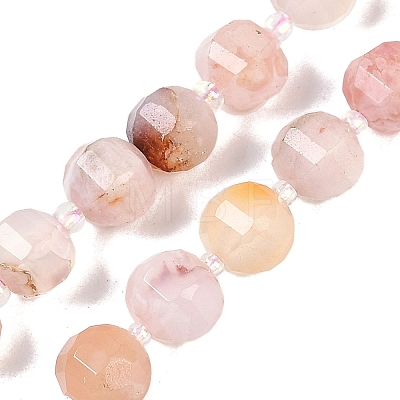 Natural Cherry Blossom Agate Beads Strands G-G182-B41-03-1