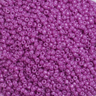 Baking Paint Glass Seed Beads SEED-US0003-2mm-K21-1