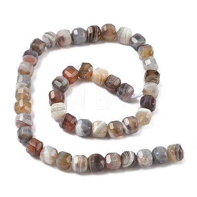 Natural Botswana Agate Beads Strands G-C267-A07-1
