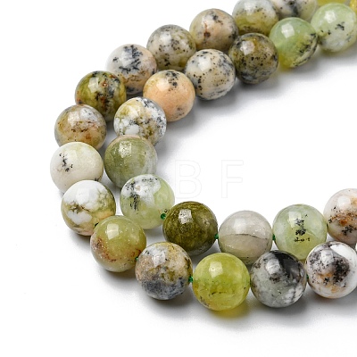 Natural Green Opal Beads Strands G-C029-02B-1