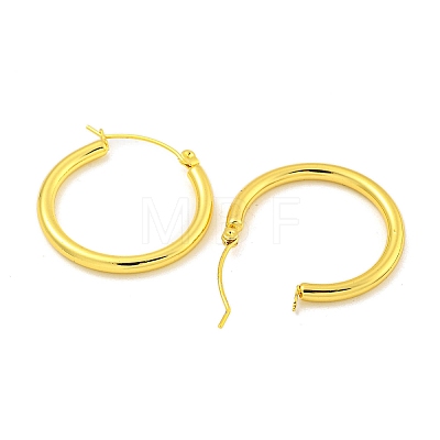 304 Stainless Steel Earrings EJEW-R161-01B-G-1