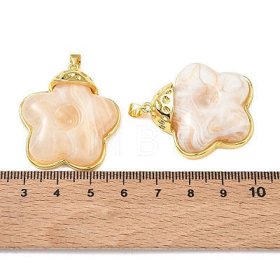 Brass & Resin Pendants KK-A303-04G-02-1