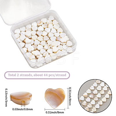 2 Strands Natural Freshwater Shell Beads Strands SHEL-SC0001-85C-1
