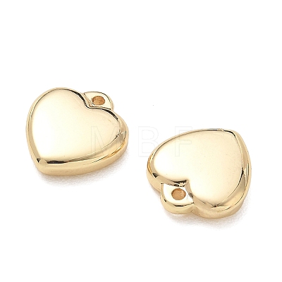 304 Stainless Steel Charms SA-CBA3037-20G-05-1