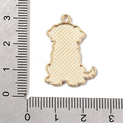 Alloy Enamel Pendants AL-CBA4C3E-02KCG-1