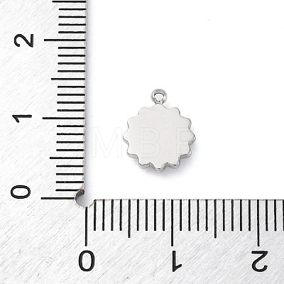 304 Stainless Steel Charms STAS-S163-08A-P-1