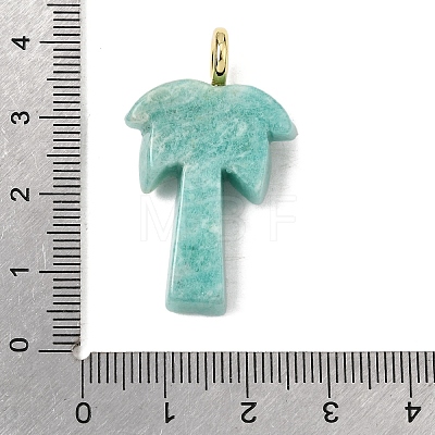 Natural Amazonite Carved Pendants G-C282-04D-1