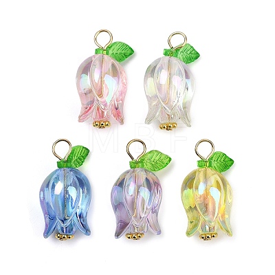Acrylic Pendants PALLOY-JF03534-01-1
