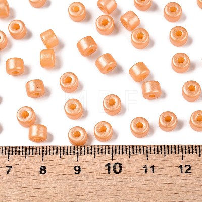 Baking Paint Pearlized Glass Seed Beads SEED-T008-03E-1