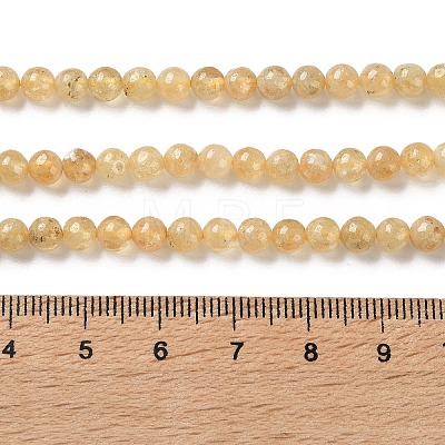 Natural Yellow Garnet Beads Strands G-Z129-C01-4mm-01-1